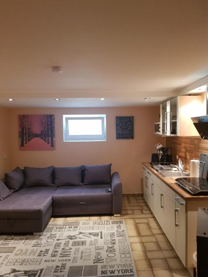 Gemuetliche Ferienwohnung Mit Kamin Und Sauna! Nistertal Exterior photo